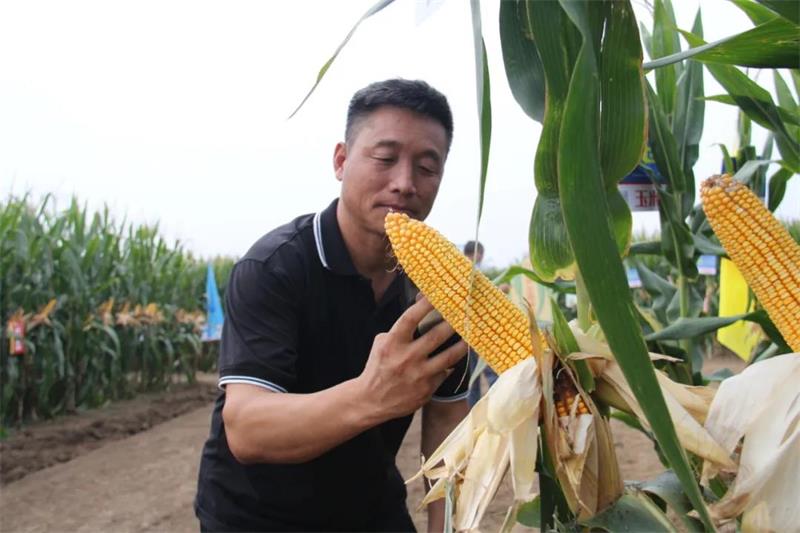 1634202929228652.jpg 108.jpg