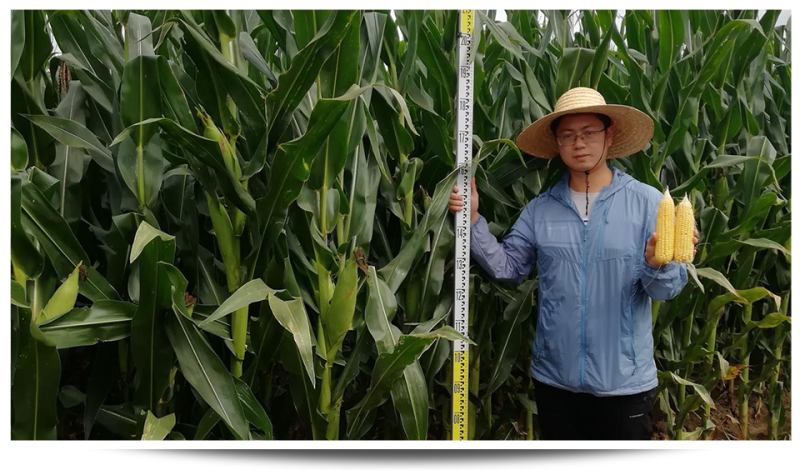 1689747150892373.png 圖片13.png