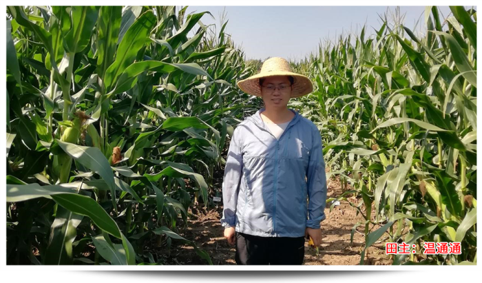 1747639161189476.png 圖片49.png