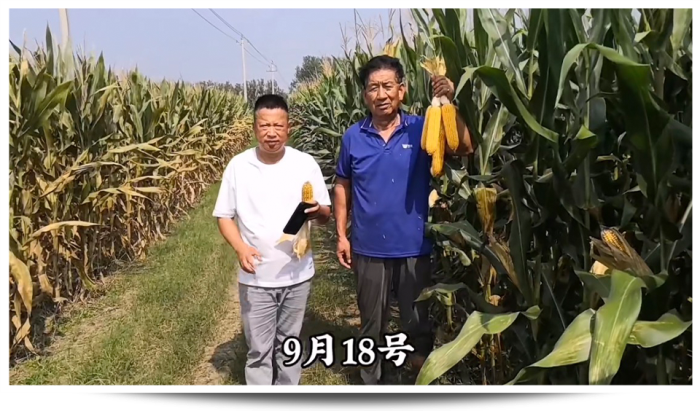 1747640766933453.png 圖片68.png